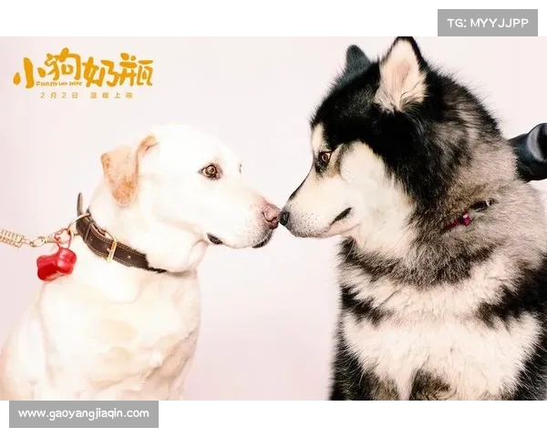 《小狗奶瓶》奶瓶马达曝狗年最旺时尚大片