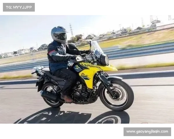 你觉得中国产VS印度产哪个强?实测告诉你V-Strom250_SX谁更能打 你觉得中国产VS印度产哪个强?实测告诉你V-Strom250_SX谁更能打