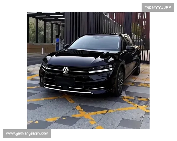 全新迈腾,颜值党不要错过 全新迈腾,颜值党不要错过